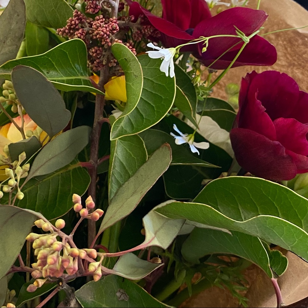 Meet your Posher, Jace